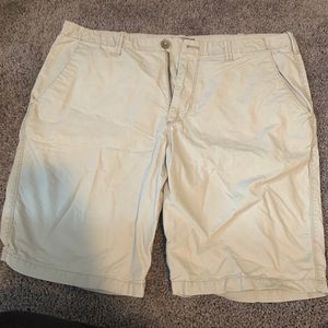 Express Khaki Cargo Shorts Size 36